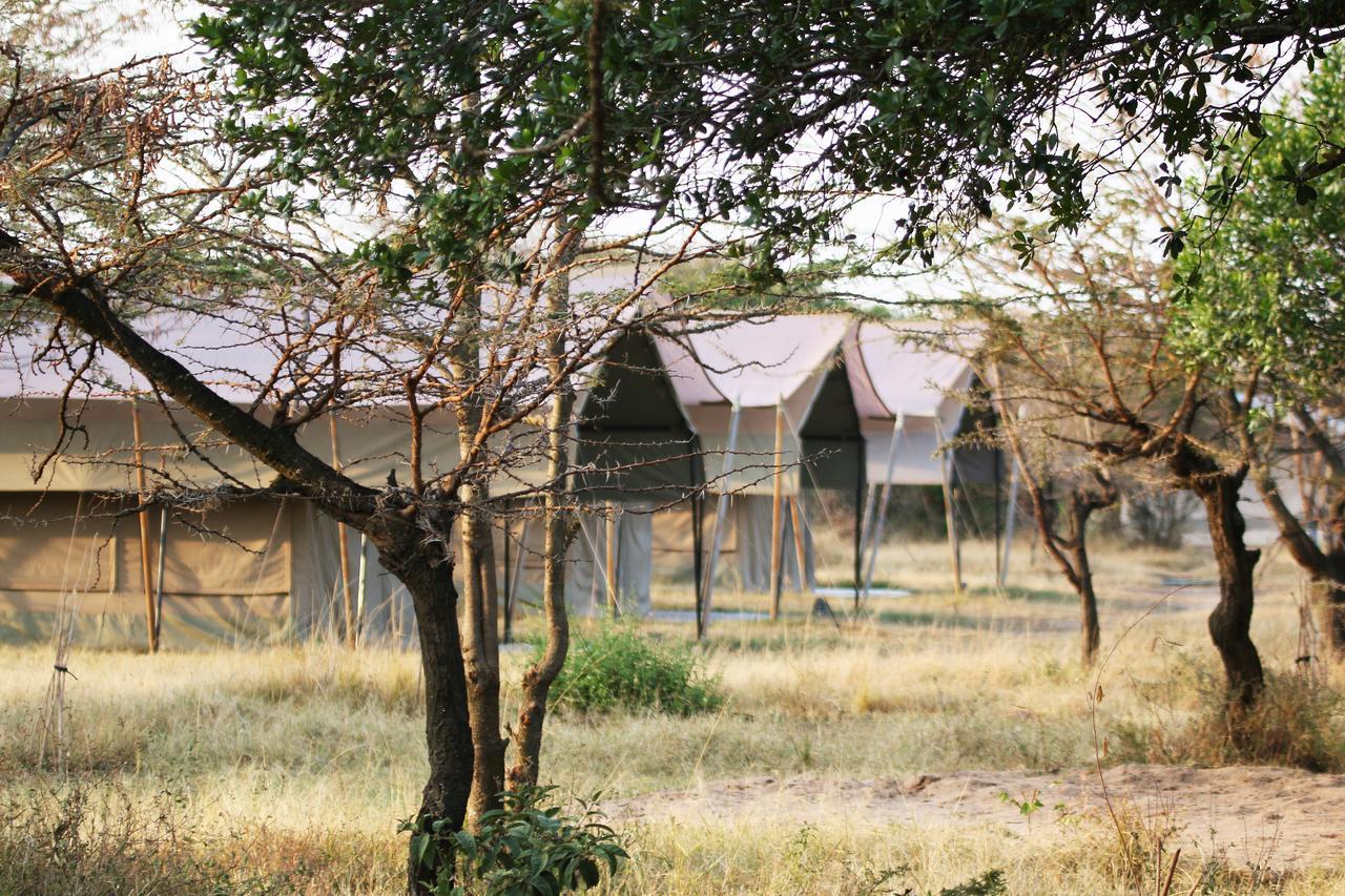 Hotel Olengoti Eco Safari Camp Talek Esterno foto